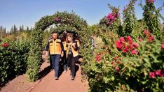 Kepez’den şehrin merkezine botanik bahçe