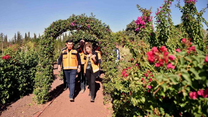 Kepez’den şehrin merkezine botanik bahçe