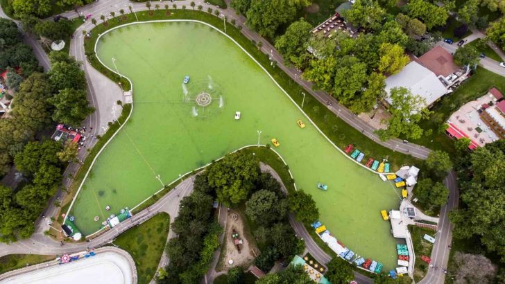 Kültür Park’ta dönüşüm zamanı