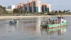 ‘Mavi Yengeç’ Boğaçayı’na indirildi