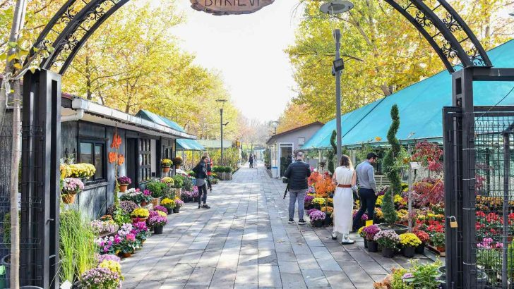 Meyve ağacı dikim mevsimi başladı: Anfa bitki evi meyve ağacı çeşitliliğiyle Başkentlileri bekliyor