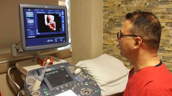 ‘Yumurta ve sperm’ dondurma işlemi kısırlık riskine karşı umut oluyor