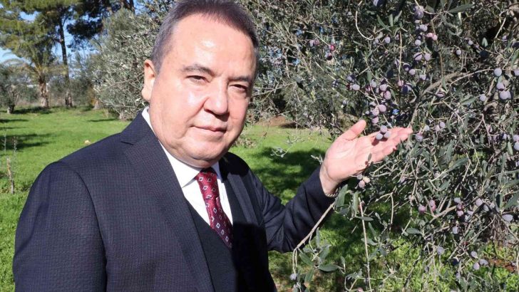 Başkan Böcek: “Zeytin Park’ı korumak boynumuzun borcudur”