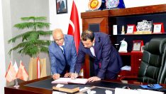 Bingöl’de kedi, köpek ve gelinciklerin takibi yapılacak