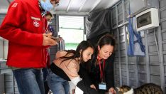 Buca’da sahiplenilen engelli kedilere ömür boyu sağlık hizmeti