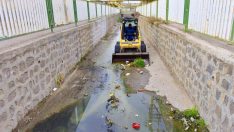 Ceylanpınar’daki Antep Deresi temizleniyor