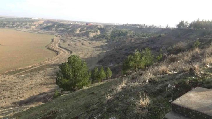 Diyarbakır’da Devlet Bahçeli Hatıra Ormanı’nda şehitlerin adını taşıyan 10 bin fidan dikilecek