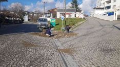 Düzce’de şehrin dört bir yanında çalışma sürüyor