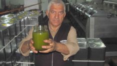 Güneydoğu’nun tahıl ambarı zeytinyağı üretiminde de iddialı