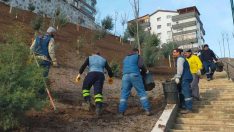 Keçiören’de ağaçlandırma seferberliği