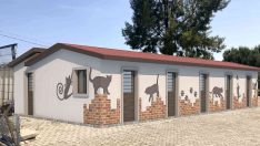 Kuşadası’nda hasta kedilere özel tedavi ünitesi