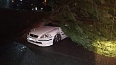 Lodosun etkili olduğu 48 saatte 33 farklı olaya müdahale ettiler