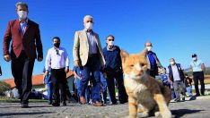 Muğla Büyükşehir barınağında 26 Bin 529 hayvan tedavi edildi