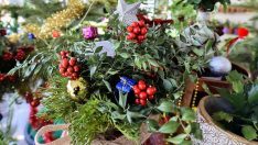 Rengarenk yılbaşı çiçekleri başkentlileri bekliyor