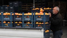 Şen: “Tarım sektörü, serbest piyasa ekonomisinin dışında planlanmalı”