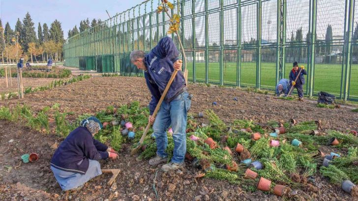 Spor adası Karacabey’e değer katacak