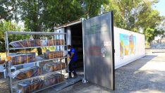 ‘Temiz petek projesi’ arıcıların yüzünü güldürdü