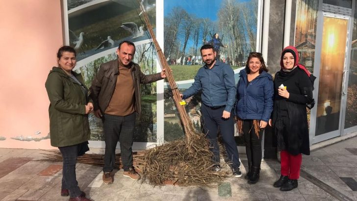 Üreticilere cennet meyvesi desteği