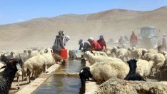 Van Büyükşehir Belediyesi bir yılda kırsal kalkınmaya 40 milyon lira harcadı