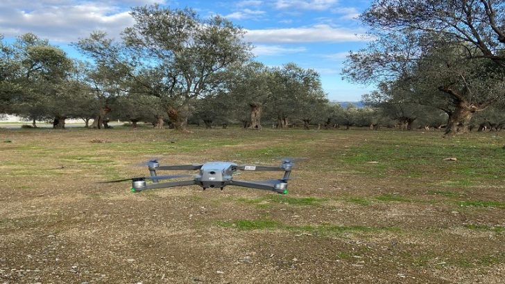 Zeytinliklere 7 gün 24 saat drone koruması