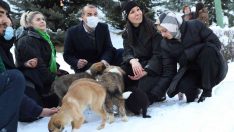 AK Parti’den can dostlar için büyük seferberlik