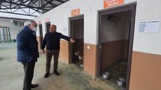 Başkan Aygün: “Terk edilen pitbull cinsi köpeğimizi koruma altına aldık”