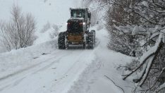Bitlis’te 332 köy yolu ulaşıma kapandı