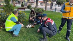 Burhaniye’de sokak hayvanları yalnız değil