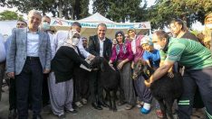 Büyükşehir tarım ve hayvancılıkta üreticinin destekçisi oldu
