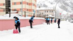 Çatak Belediyesinden karla mücadelede çalışması