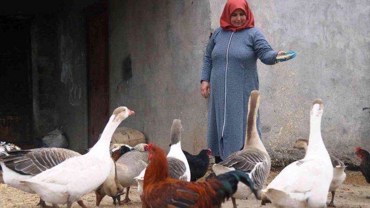 Diyarbakır’da kırsal mahallenin ‘tek kadın muhtarı’ koltuğu eşinden aldı
