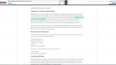 Godaddy’in gasp ettiği internet alan adlarını açık artırmayla satışa çıkardığı iddia edildi