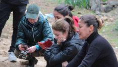 Hayvanseverler iş makinesiyle gömülen kedi ve köpeklere tepki gösterdi, işlemin yasal olduğu ortaya çıktı