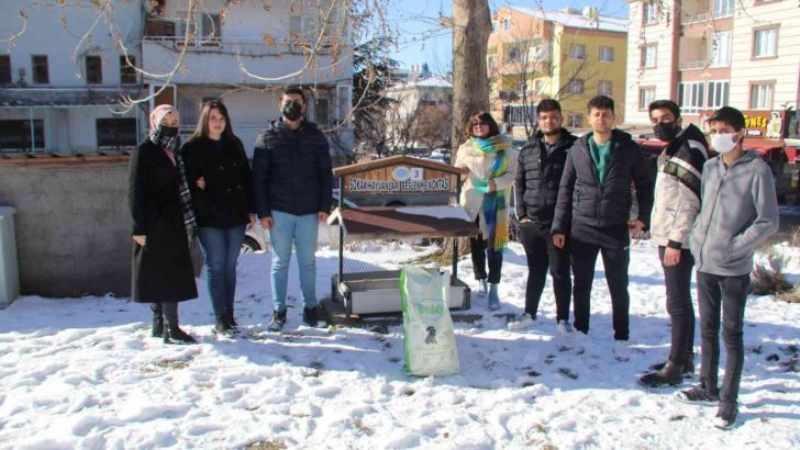 NEVÜ Öğrencileri sokak hayvanlarını unutmadı