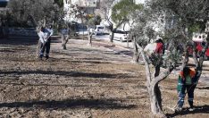 Yemyeşil bir Kuşadası için çalışmalar sürüyor