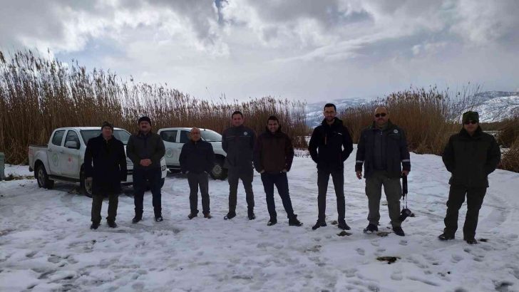 Eber Gölü’nde kuş gözlemi yapılıp, yem bırakıldı